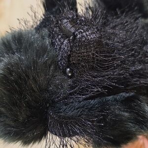 GANZ Black Poodle Plush